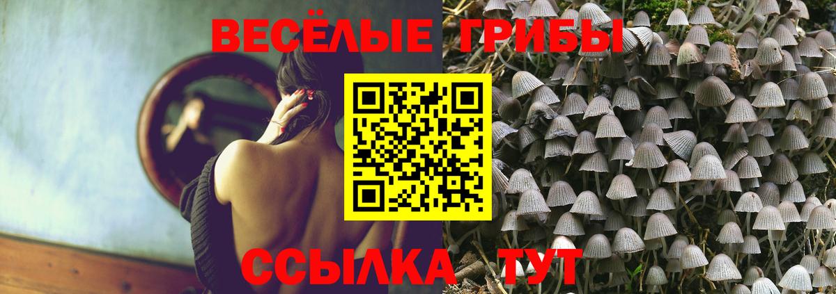 Псилоцибиновые грибы мухоморы  Вход с VPN  Орёл 