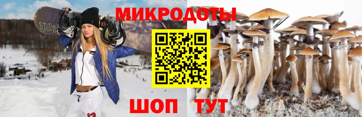 Псилоцибиновые грибы ЛСД Орёл